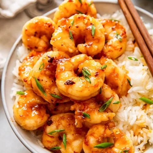 Honey-Garlic-Shrimp-5-Edit-683x1024-1-qqzxc2wbnl4dq1wttaljf57ew95xdtda6krqdx1f9k