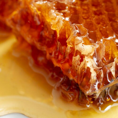 close-up-honeycomb-with-beeswax-honey